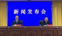 阜阳新闻爆料,最新爆料揭示城市动态